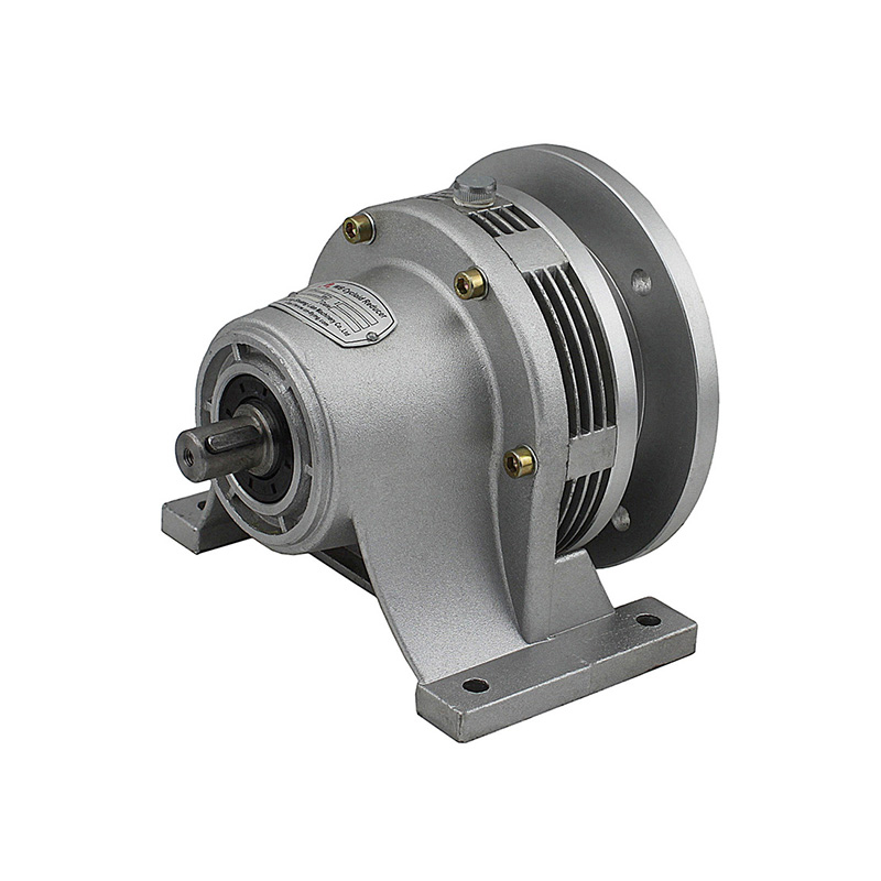 Horizontal Micro Cycloidal Pinwheel Reducer