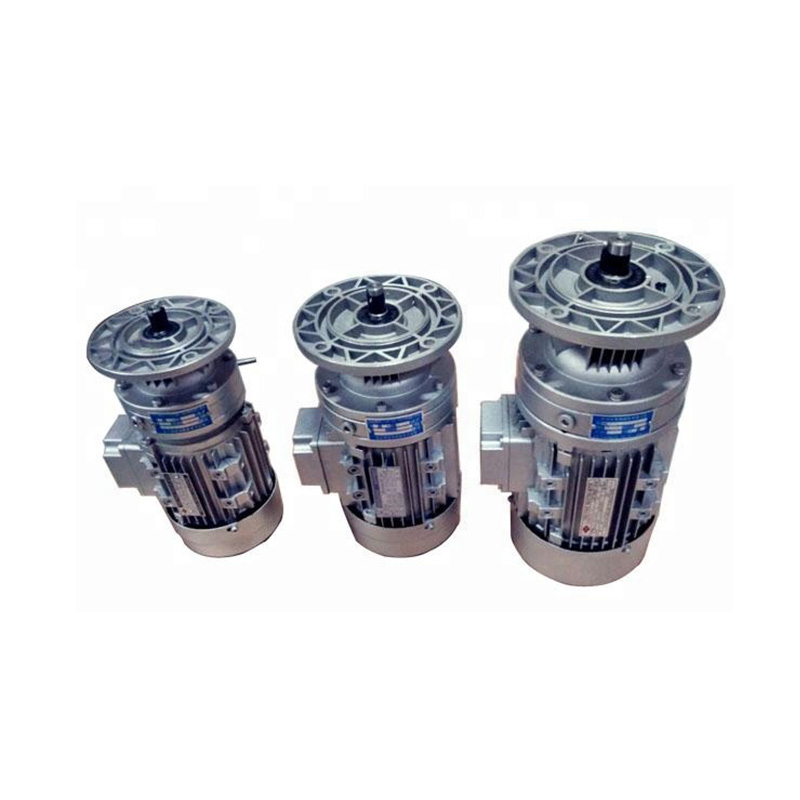 Vertical Micro Cycloidal Pinwheel Reducer