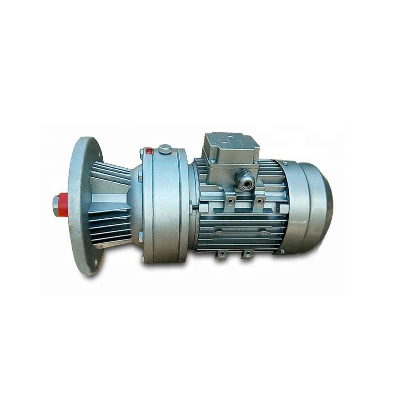 Vertical Micro Cycloidal Pinwheel Reducer
