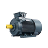 YE2 Series High Efficiency Motor